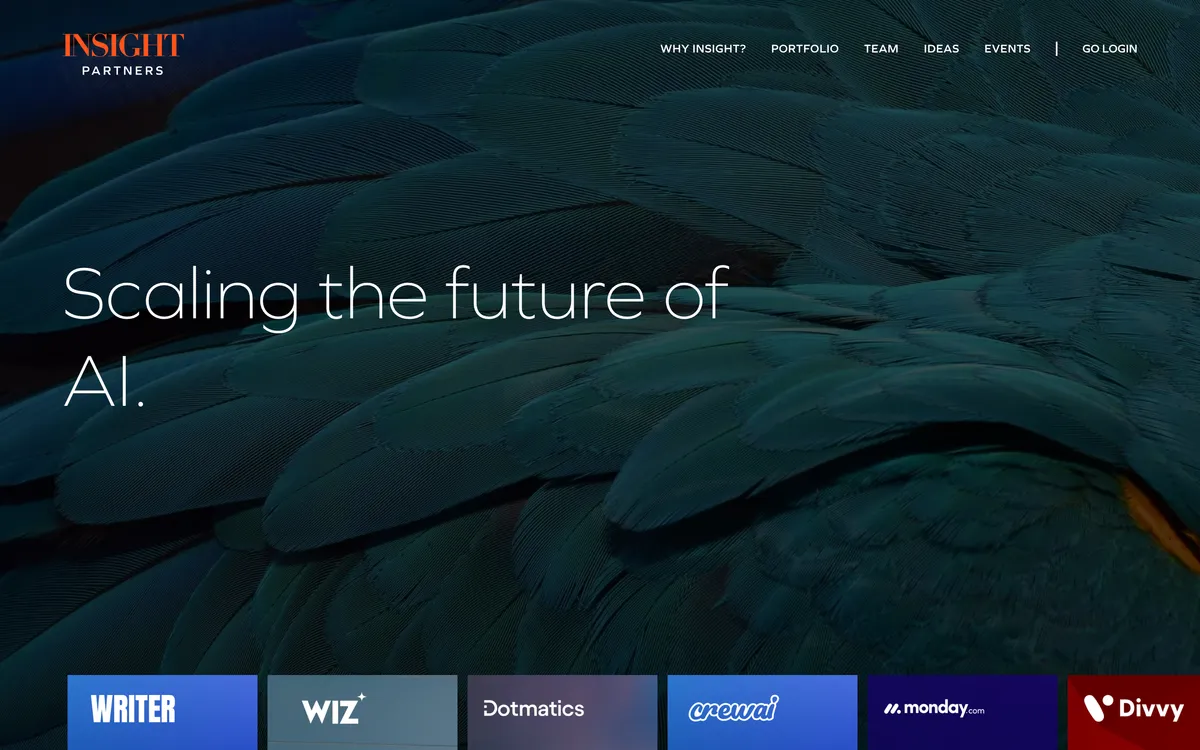 2. Insight Partners homepage